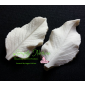Dahlia Leaf Veiner Medium By Simply Nature Botanically Correct Products